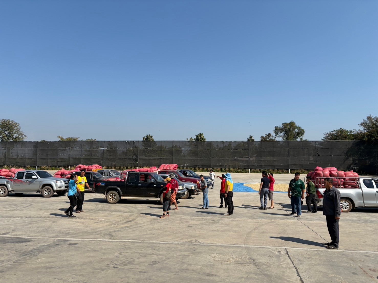LINE_ALBUM_20-01-68_250130_1