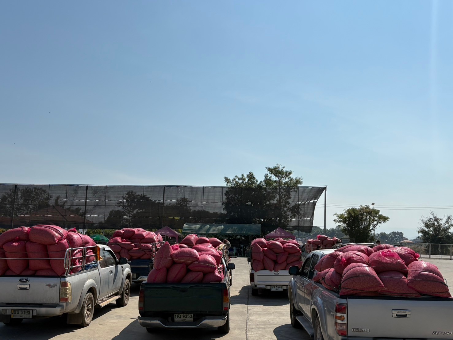 LINE_ALBUM_20-01-68_250130_14