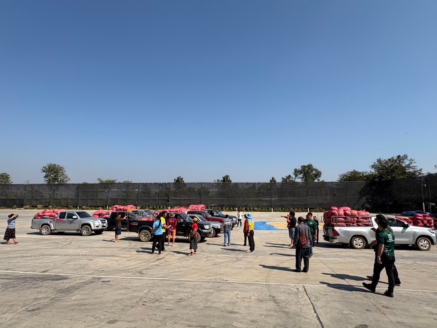 LINE_ALBUM_20-01-68_250130_15