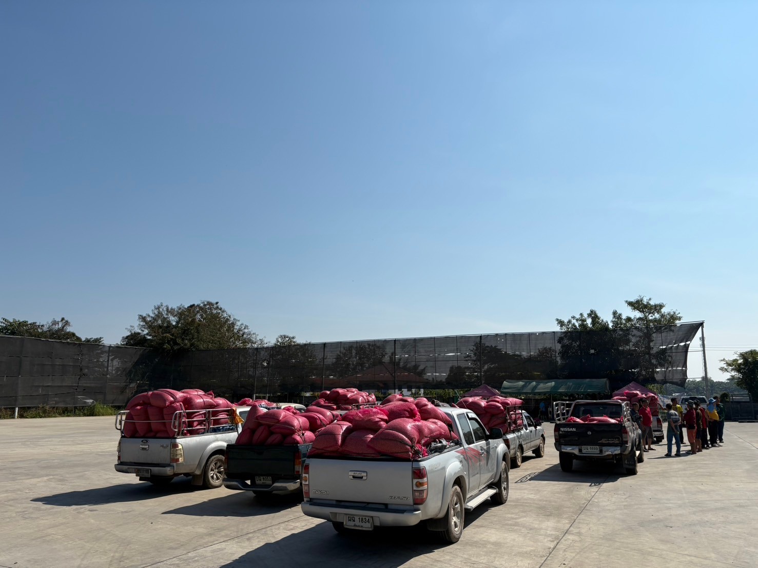 LINE_ALBUM_20-01-68_250130_3